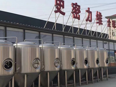 德安精酿啤酒设备厂—如何判断精酿啤酒设备的密封件需要更换？